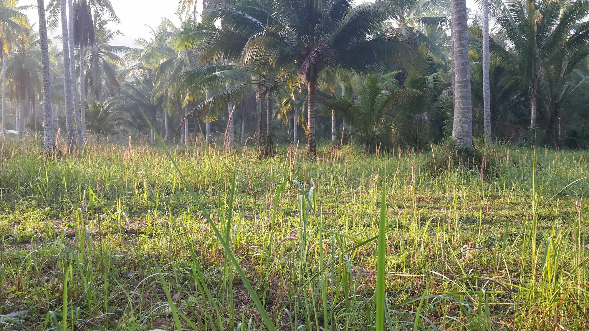 Baan Phuean Koh Kood Hotel Ko Kut ภายนอก รูปภาพ